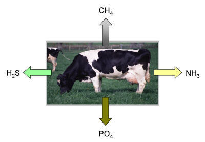 Environmentally undesirable emissions from livestock